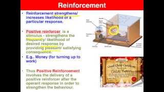 Positive vs. Negative Reinforcement - VCE Psychology
