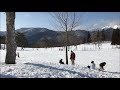 荘川高原スキー場　ゲレンデ　2021 2 11　shokawa kogen ski area