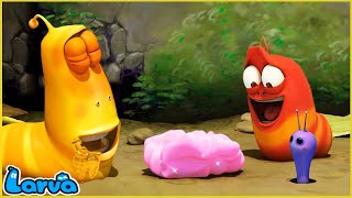 LARVA | GUM | CARTOON MOVIE FOR LIFE |THE BEST OF CARTOON | HILARIOUS CARTOON COMPILATION