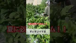 夏に必須アイテム「スパイダーモア」🎥動画提供🎥Natsuki【小屋松農園】in福岡県久留米市🌿露地栽培🥬さん。（BGM編集済み）#農業機械 #農業女子 #農業 #農園 #農girl農life