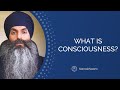 What Is Consciousness? | Naam VS Ego