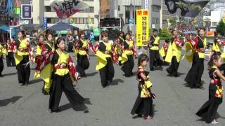 「Team一豊」　一宮七夕まつり2011