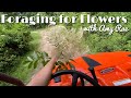 Making a Wildflower Arrangement from Foraged Flowers!