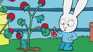 Simon *What Makes Tomatoes Turn Red?* The Story of the Little Elf *Earth Day* Cartoons for Children