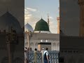 I love madinah #shorts #trending #viral #reels #kashmir