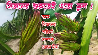 সিজনের শুরুতেই ড্রাগনের বাজিমাত ফুলে ভরপুর পুরো বাগান