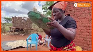 Kenyan insurer Pula offers lifeline to African farmers