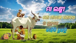 ଗୋମାତାଙ୍କ ଗୋବର ଏବଂ ମୁତ୍ରରେ କାହିଁକି ରୁହନ୍ତି ମା ଲକ୍ଷ୍ମୀ #maalaxmi #facts #vairal