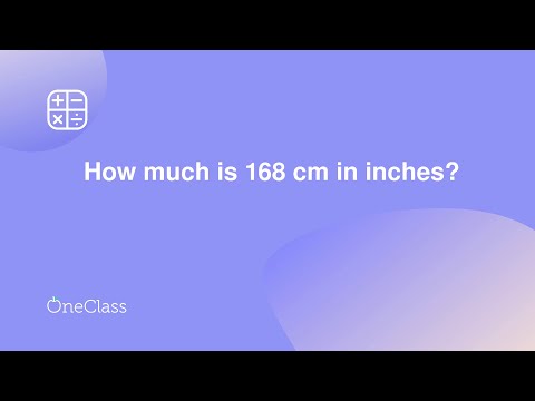What size is 168cm in inches?