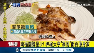 「火烤圓鱈」有錢還不一定吃得到　神秘大亨銬賣這款魚賺百億身家│記者許信欽 吳青駿│【消費報你知】20180817│三立新聞台