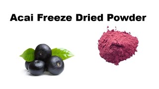 Acai Berry Freeze Dried Powder