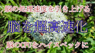 【脳を超高速化】脳の処理速度を引き上げ！脳のCPUをハイスペックにしIQアップ♬成功脳・天才脳・記憶力・集中力・ひらめき・アイディア！