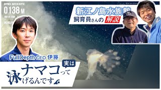 水中ドローンで撮影した映像を新江ノ島水族館の飼育員の方々に解説いただきました｜深海生物図鑑【06】実はナマコって泳げるんです。 | 国産のROV