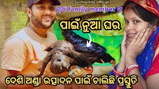 ନୁଆ family member ଙ୍କ ପାଇଁ ନୁଆ ଘର 🏠 || ଏବେ ହବ ଅଣ୍ଡା ର ବର୍ଷା || suchismita official