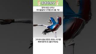 현재 반응 난리난 파리올림픽 나라별 유니폼 1탄