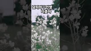 #남자의인생#나훈아#선재의가요음악여행#선재#제주