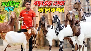 বছরের সেরা কালেকশন। সর্বনিম্ন দামে উন্নত জাতের ছাগল কিনুন।