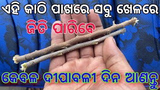 ସମସ୍ତ ଖେଳରେ ଜିତିବା ପାଇଁ ଦୀପାବଳୀ ଦିନ ଆଣନ୍ତୁ ଏହି କାଠି | tecbigyan | tecbigyan Odia | tbc odia