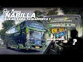 TERNYATA INI NADA TELOLET YANG PALING ENAK ! Naik Sekaligus Ngoyod Bus Artis QQ Trans “Nabila”