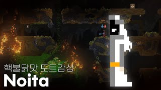 간만의 수작 픽셀 감성 초강력 매운맛 | 노이타 // Noita