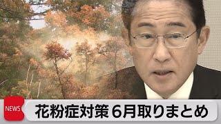 岸田総理「花粉症対策３本柱全体像」を６月までの取りまとめ指示（2023年4月14日）