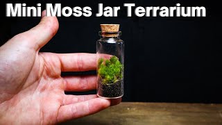 How to - Mini Moss Terrarium