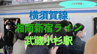 これぞ地獄　横須賀線・湘南新宿ライン　武蔵小杉駅