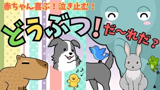 どうぶつ だ～れだ？ 赤ちゃん 喜ぶ 泣き止む 0歳～2歳 幼児向け知育アニメ 【にこ☆すた】どうぶつクイズえほん Baby Stops Crying and Laughs!【にこすた】