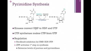 141-Pyrimidine Synthesis