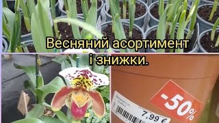 Весняний асортимент і знижки. #українськийконтент #українськийютуб #easycut