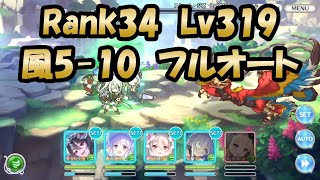 【深域風5-10クリア動画　フルオート　Rank34左下アクセ Lv319用】2倍速プレイ(プリンセスコネクト！)【プリコネR】