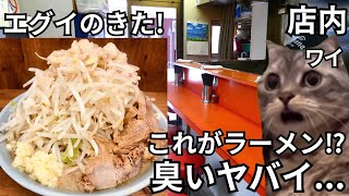 【猫ミーム】二郎系のラーメンに驚愕した話＃猫マニ＃猫ミーム