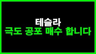 테슬라 극도 공포 매수 합니다