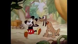 Mickey Mouse - Mickeys Garden - 1935
