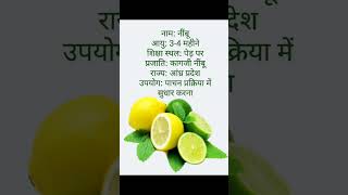 नाम: नींबू उम्र : 3-4 महीनेपढाईः पेड़ पेQजातिः कागजी नीबूप्रदेशः आंध्र प्रदेशकामः पाचन  #shortsfeed