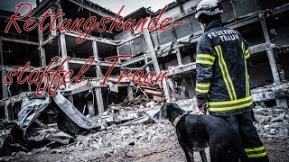 Doku - Die Rettungshundestaffel der Freiwilligen Feuerwehr Traun - Vierbeiner als Lebensretter