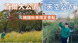 打卡韓國秋季限定景點 首爾大公園搭空中纜車 天空公園看芒草 | 去馬場洞市場吃高級韓牛