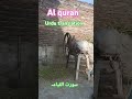 Al quran urdu translation 💗💚💯islamic video #shorts video AL QURAN