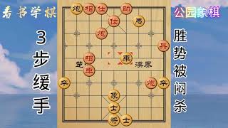 88岁公园大爷棋力会如何？结局超乎我的想象