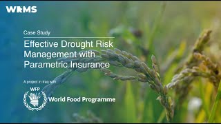 Addressing Drought Risks in Iraq: Innovative Insurance Solutions with WFP