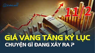 Giá vàng hôm nay 11/2: TĂNG KỶ LỤC, chuyện gì đang xảy ra? | CafeLand