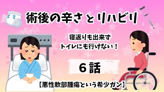 ～第６話～入院で看護師さんの凄さを実感し、感謝の日々でした(^-^;悪性軟部腫瘍という希少ガン【楽しく生きよう!!】