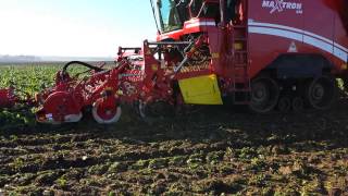 Grimme Maxtron 620 kombajn do buraków