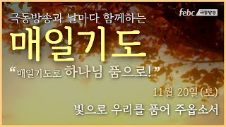 [매일기도] 11월 20일. 빛으로 우리를 품어 주옵소서.