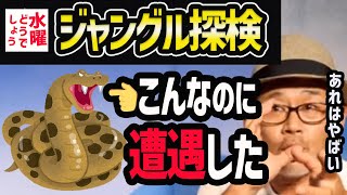 【水曜どうでしょう】マレーシアジャングルでホワイトスネイクカモン！アイアム！あの生物に遭遇【水曜どうでそうTV】ブンブン//藤村/うれしー