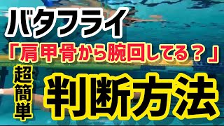 【肩甲骨動いてる？】50mがあっという間に泳げる！バタフライでの肩甲骨から腕が動いてるか判断方法