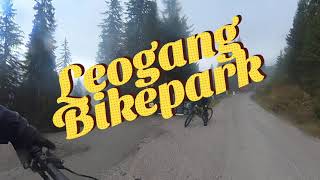 Leogang Bikepark - Red Trail \\ Flow Link- L05