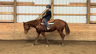 FNT- PSU Havin A Goodtime- Green as Grass- 9.2 - Ranch equitation W/J- 2/27/25