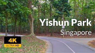 4K UHD Walking Tour - Yishun Park #park #singapore #nature