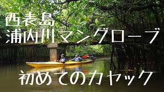 【初めてのカヤック】西表島 浦内川マングローブ半日カヤック体験